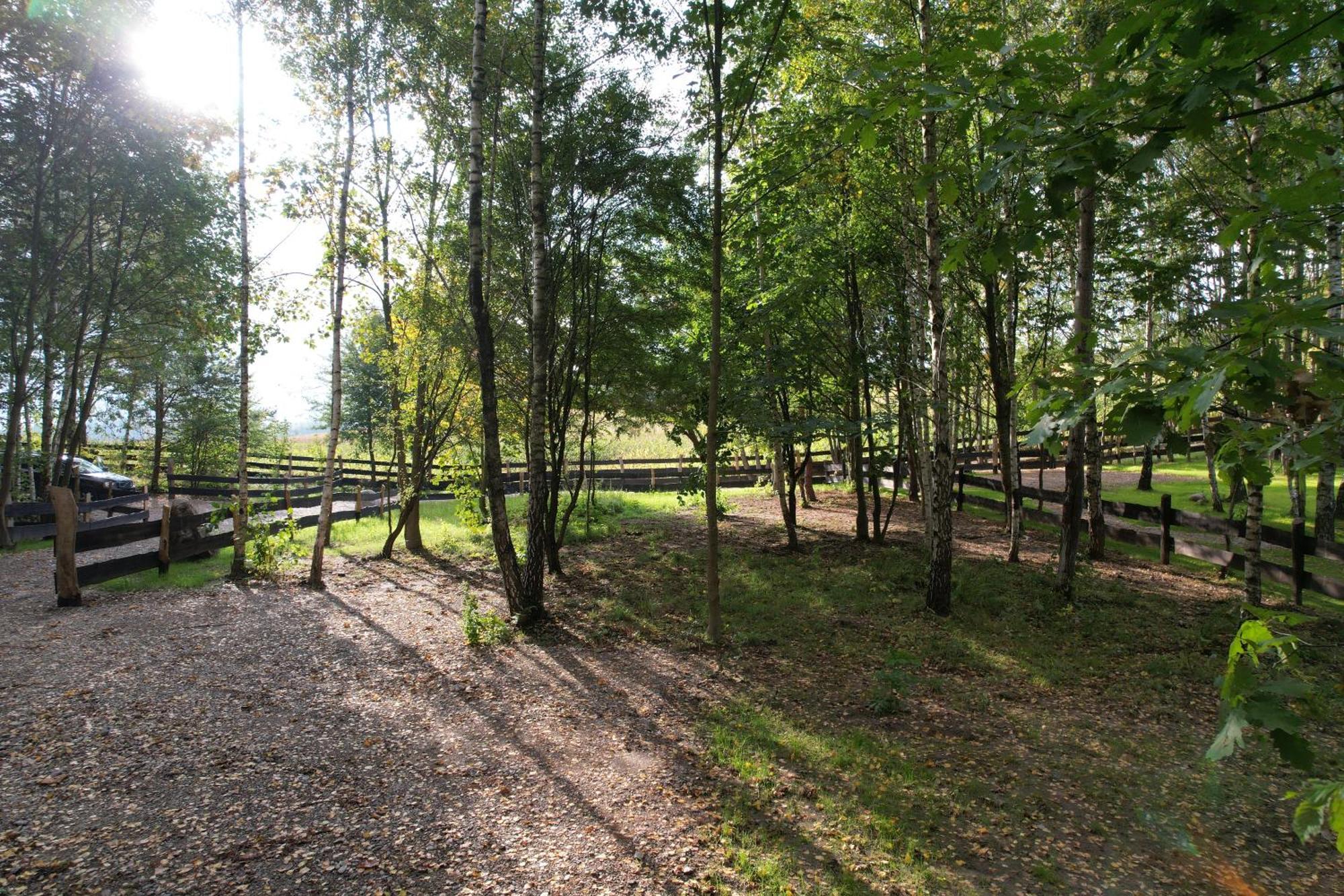 Hytte Narie 1 Morąg Exteriér fotografie